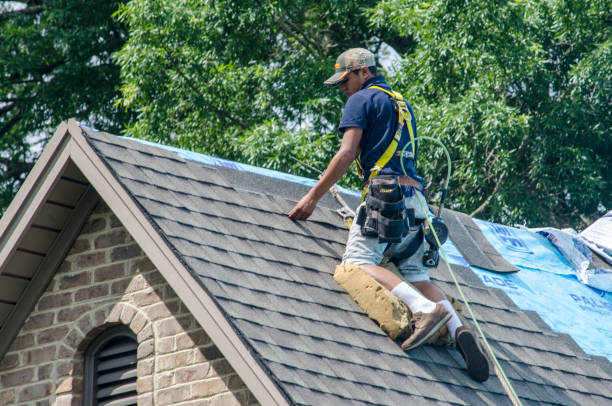 Professional Roofing Contractor in San Manuel, AZ